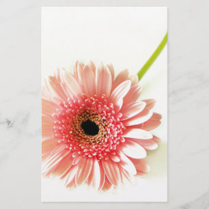 Fresh Pink Gerbera Daisy Photograph Stationery