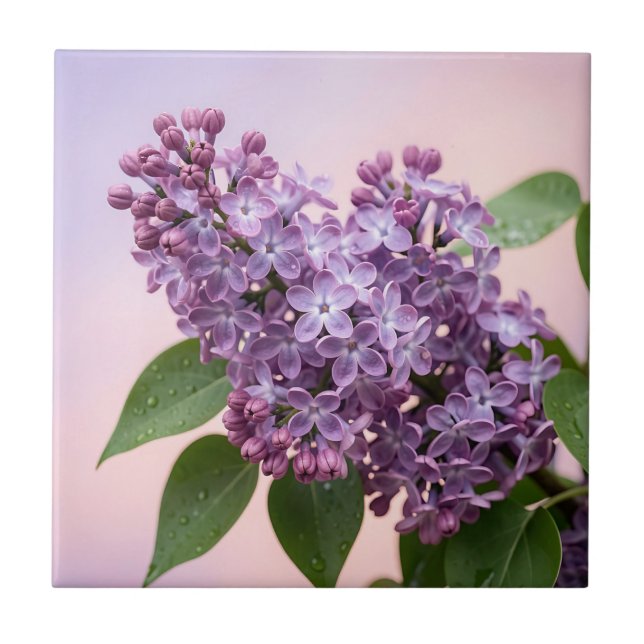 Fresh Purple Lilac Blossoms Spring Floral  Tile (Front)