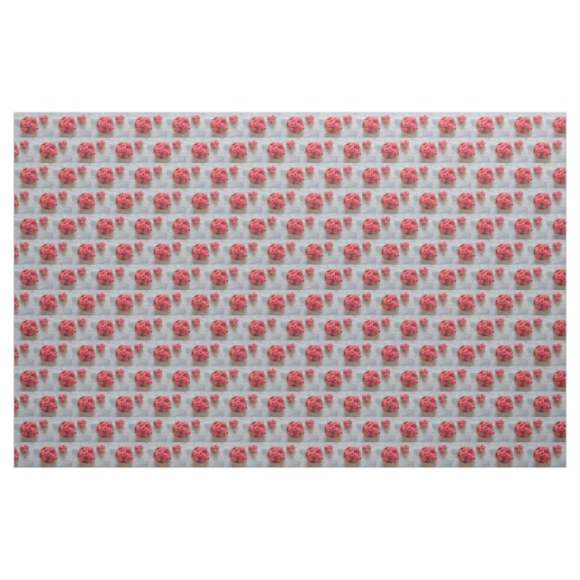 Fresh raspberries in a bowl fabric (Yard)