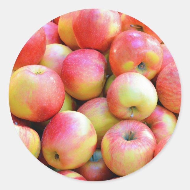 Fresh red and yellow apples classic round sticker (Front)