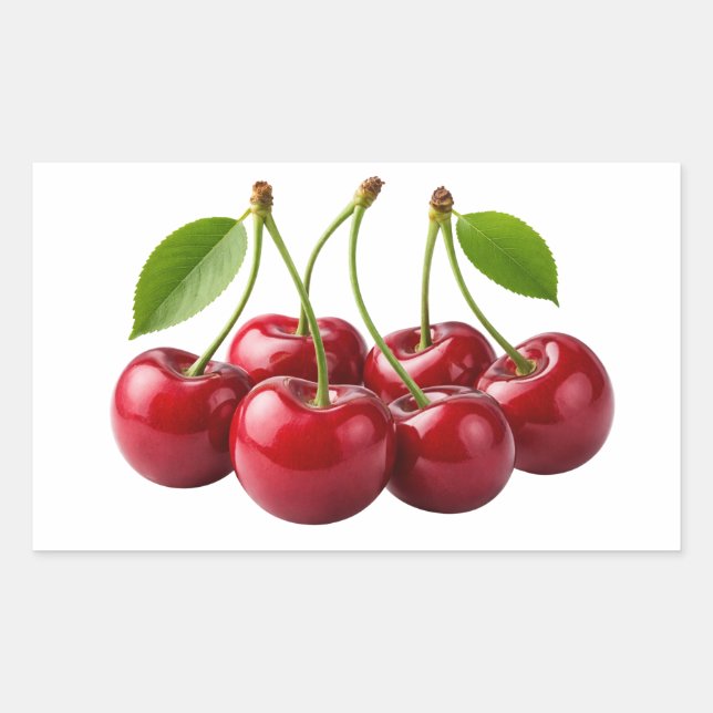 Fresh Red Cherries With Green Leaves Sticker (Front)