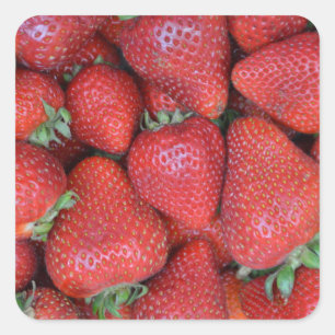 Fresh red strawberries square sticker