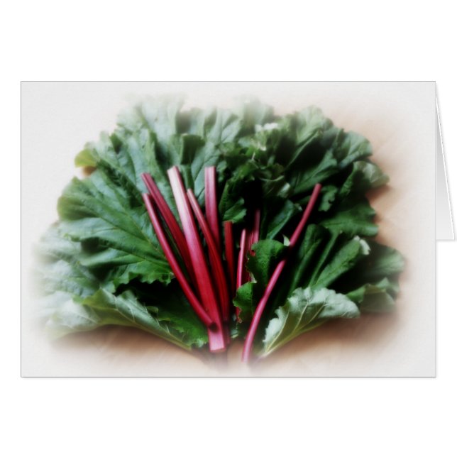 Fresh Rhubarb Stalks and Leaves (Front Horizontal)