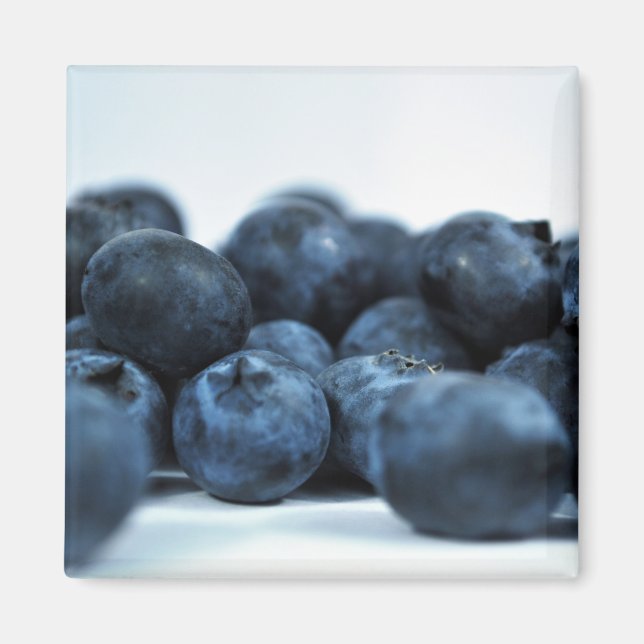 Fresh Ripe Blueberries Magnet (Front)