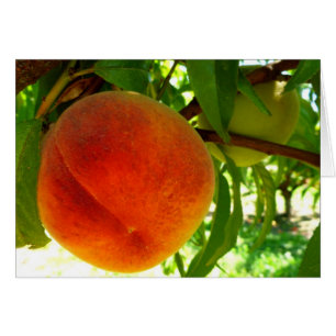 Fresh Ripe Peach