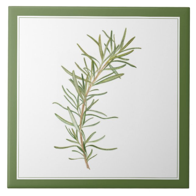 FRESH ROSEMARY 6x6 Ceramic Tile (-text) Green (Front)
