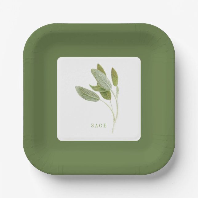 FRESH SAGE 7" Square Paper Plates - Green (Front)