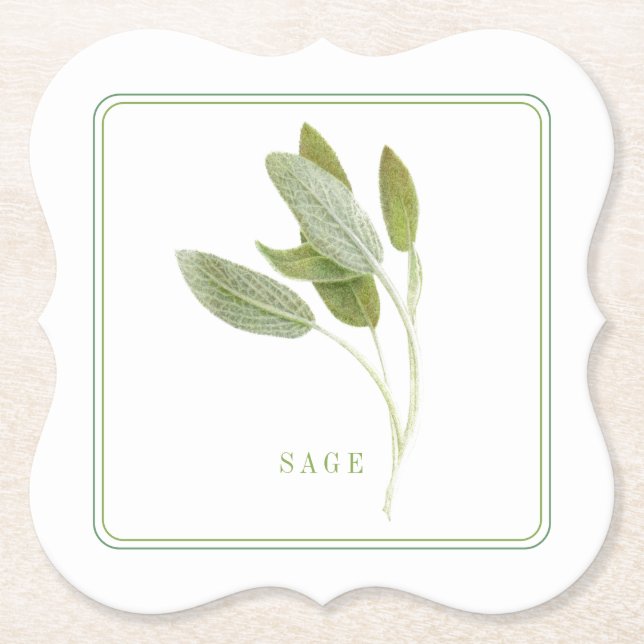 FRESH SAGE Bracket Paper Coasters (+text) (Front)