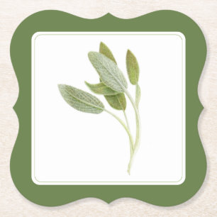 FRESH SAGE Bracket Paper Coasters (-text) Green