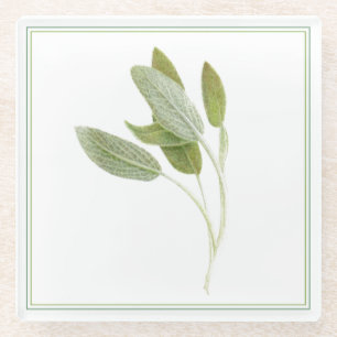 FRESH SAGE Glass Beverage Coaster (-text)