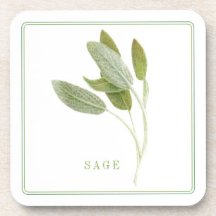 FRESH SAGE Hard Plastic Coasters (+text)