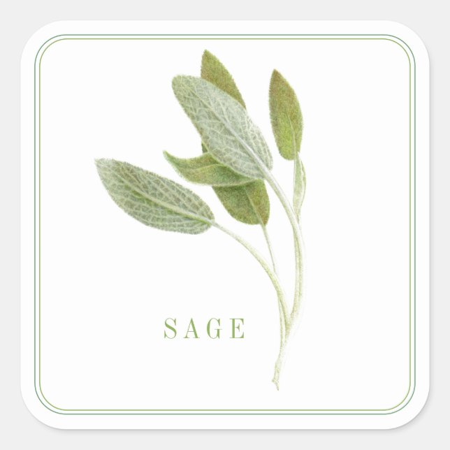 FRESH SAGE Large Square Stickers (Front)