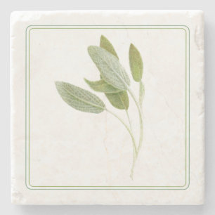 FRESH SAGE Marble Stone Coaster (-text)