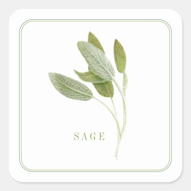 FRESH SAGE Small Square Stickers (Front)