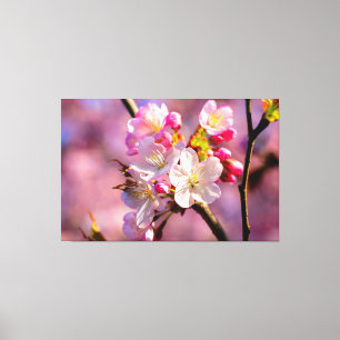 Fresh Sakura Flowers In The Garden In Springtime Canvas Print
