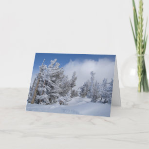 Fresh Snow on Mammoth Mountain Holiday Card