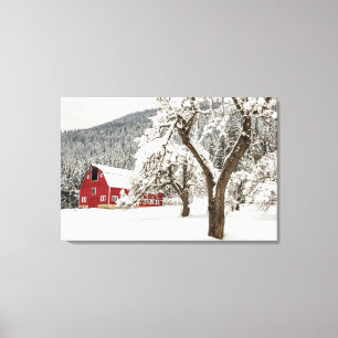 Fresh snow on red barn canvas print