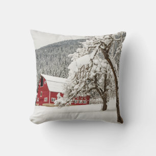 Fresh snow on red barn cushion