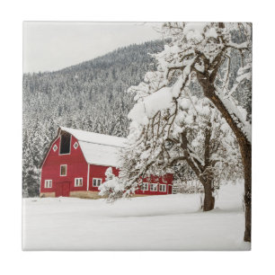 Fresh snow on red barn tile