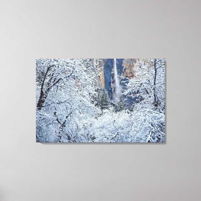 Fresh snowfall in the trees below Bridalveil Canvas Print (Front)