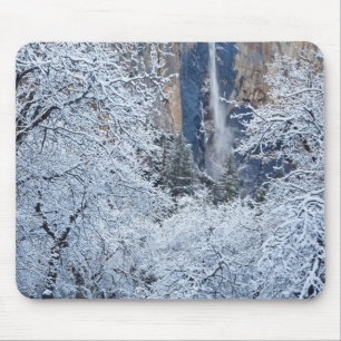 Fresh snowfall in the trees below Bridalveil Mouse Pad