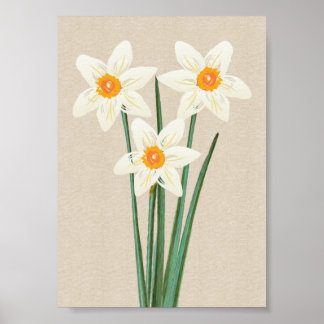 Fresh Spring Daffodils Watercolor Poster