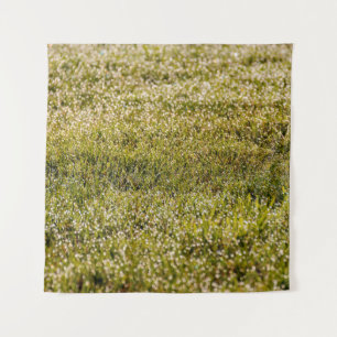 Fresh spring green grass background, with bokeh ef tapestry