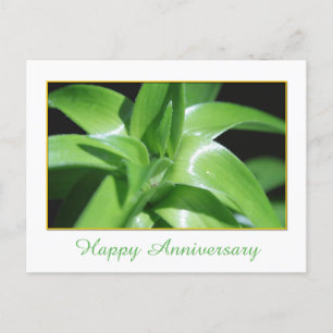 Fresh spring green lily leaves happy anniversary postcard