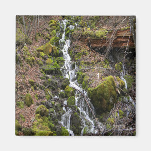 Fresh spring.... magnet