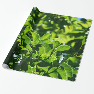 fresh spring, summer green leaves. Nature floral Wrapping Paper