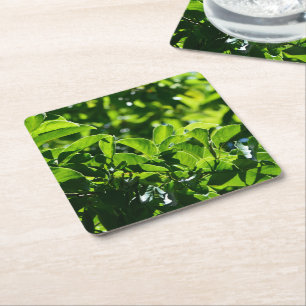 fresh spring, summer green leaves paper coaster. square paper coaster