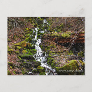 Fresh spring water.... postcard
