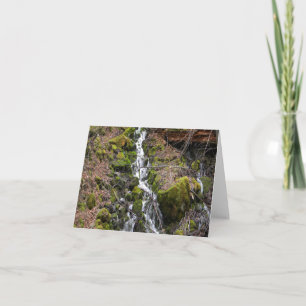 Fresh Spring waterfall.... Card