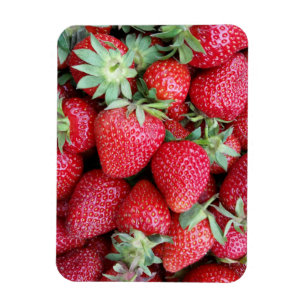 fresh strawberries magnet