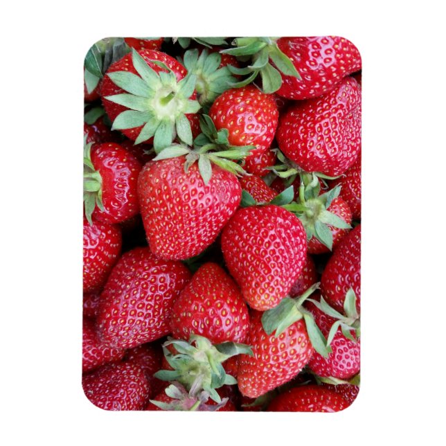 fresh strawberries magnet (Vertical)