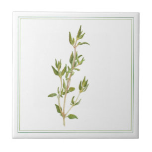 FRESH THYME 4.25x4.25 Ceramic Tile (-text)