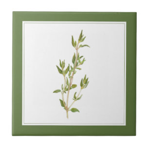 FRESH THYME 4.25x4.25 Ceramic Tile (-text) Green