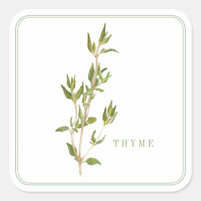 FRESH THYME Large Square Stickers (Front)