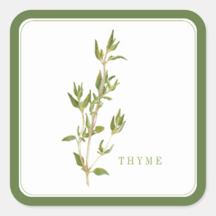 FRESH THYME Large Square Stickers - Green