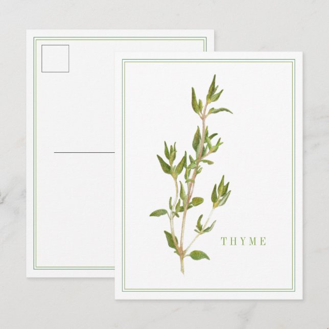 FRESH THYME Postcard (Front/Back)