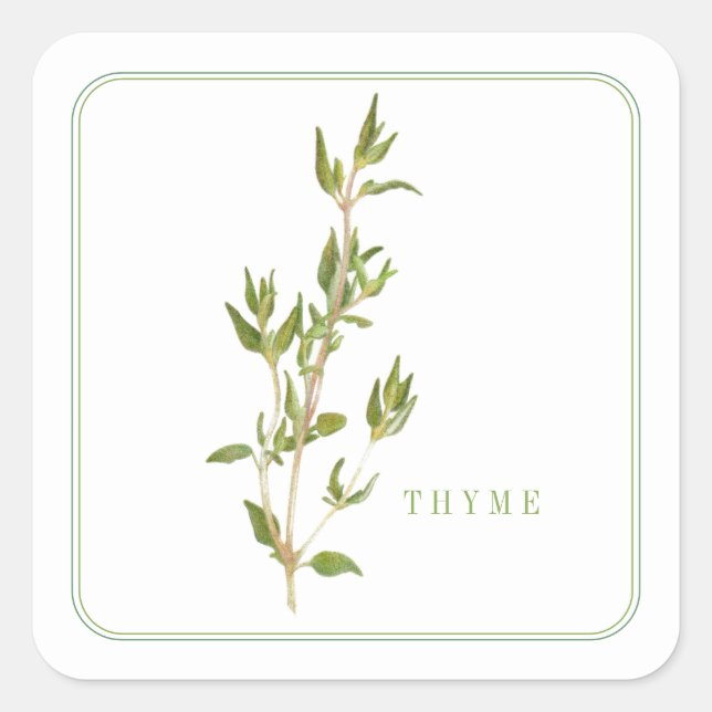 FRESH THYME Small Square Stickers (Front)