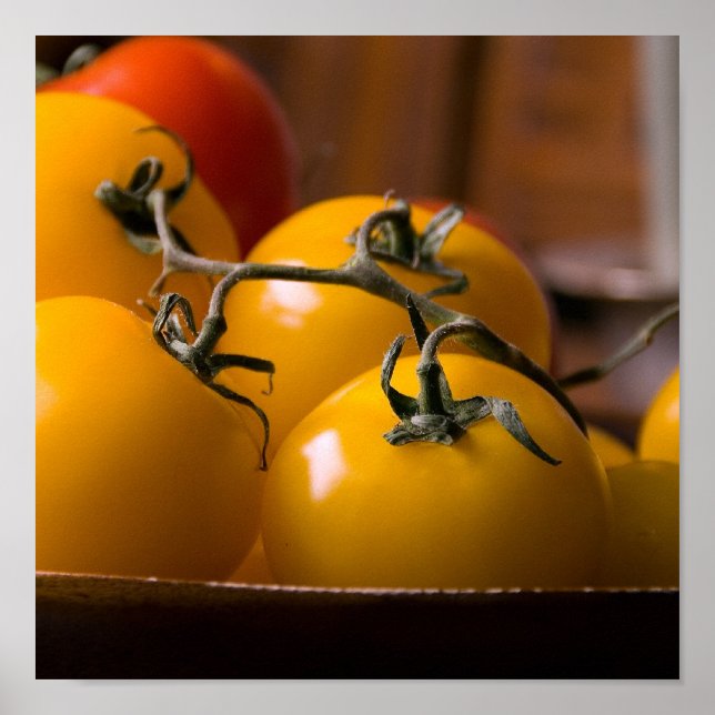 Fresh Tomato's Poster (Front)