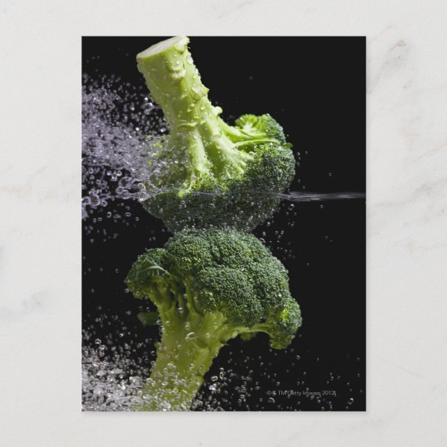 Fresh Vegetables & Food Hygiene Postcard (Front)