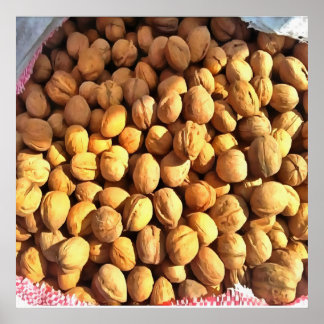 Fresh Walnuts Hyperrealistic Painting Poster