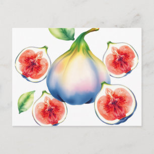 Fresh Watercolor Fig with Soft White  Postcard
