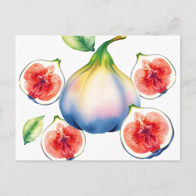 Fresh Watercolor Fig with Soft White  Postcard (Front)