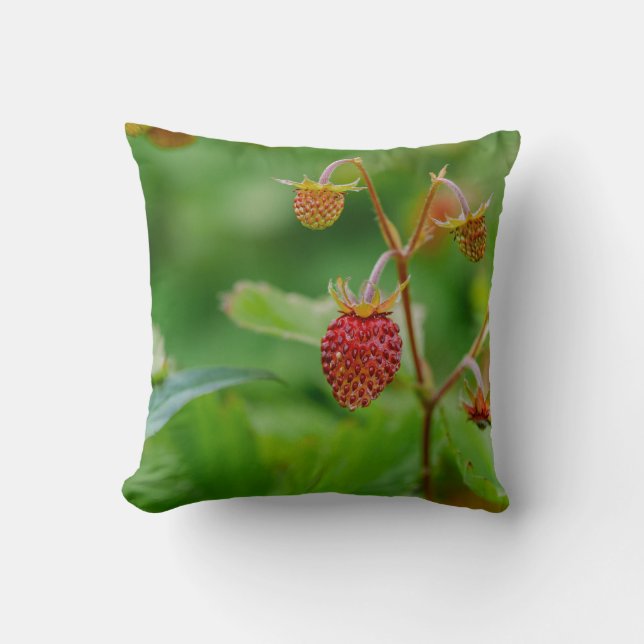 Fresh Wild Strawberry Green And Red Garden Photo Cushion (Front)