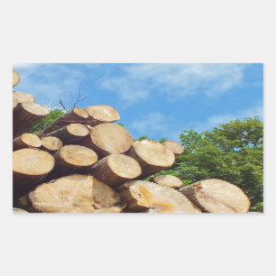freshly cut wood in the forest under blue sky rectangular sticker