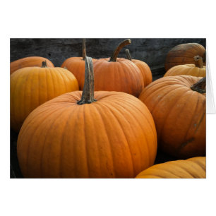 Freshly-Harvested Autumn Orange Pumpkins