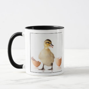 Freshly hatched chick beside broken egg shell mug